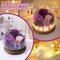 Gifts for Women Preserved Flowers in Glass Dome Long-Lasting Eternal Roses Mothers Day Birthday Gifts for Mom Grandma Wife Girlfriend Purple Forever Flowers for Delivery Prime